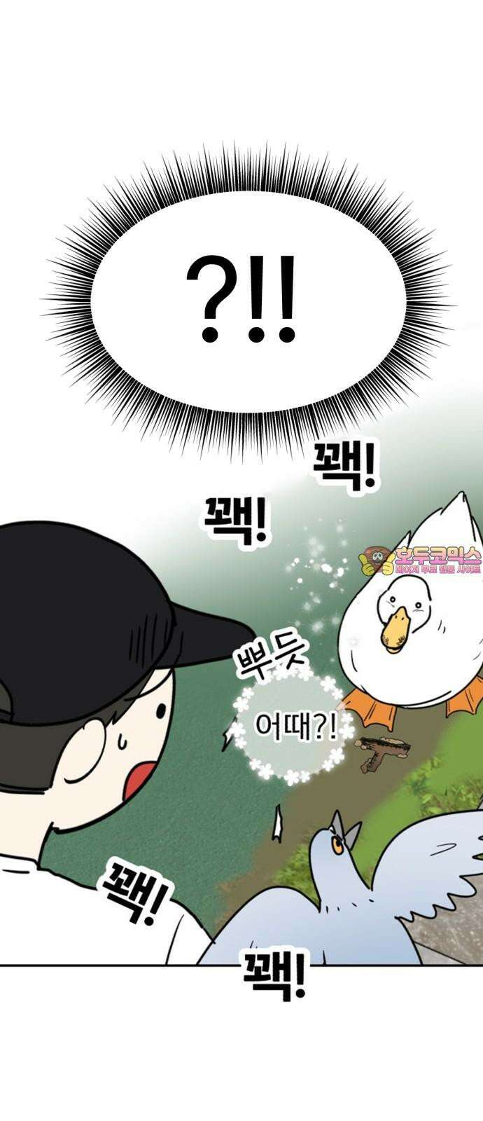 성북구 비둘기 이헌서 33화) 오리씨 오리씨 1