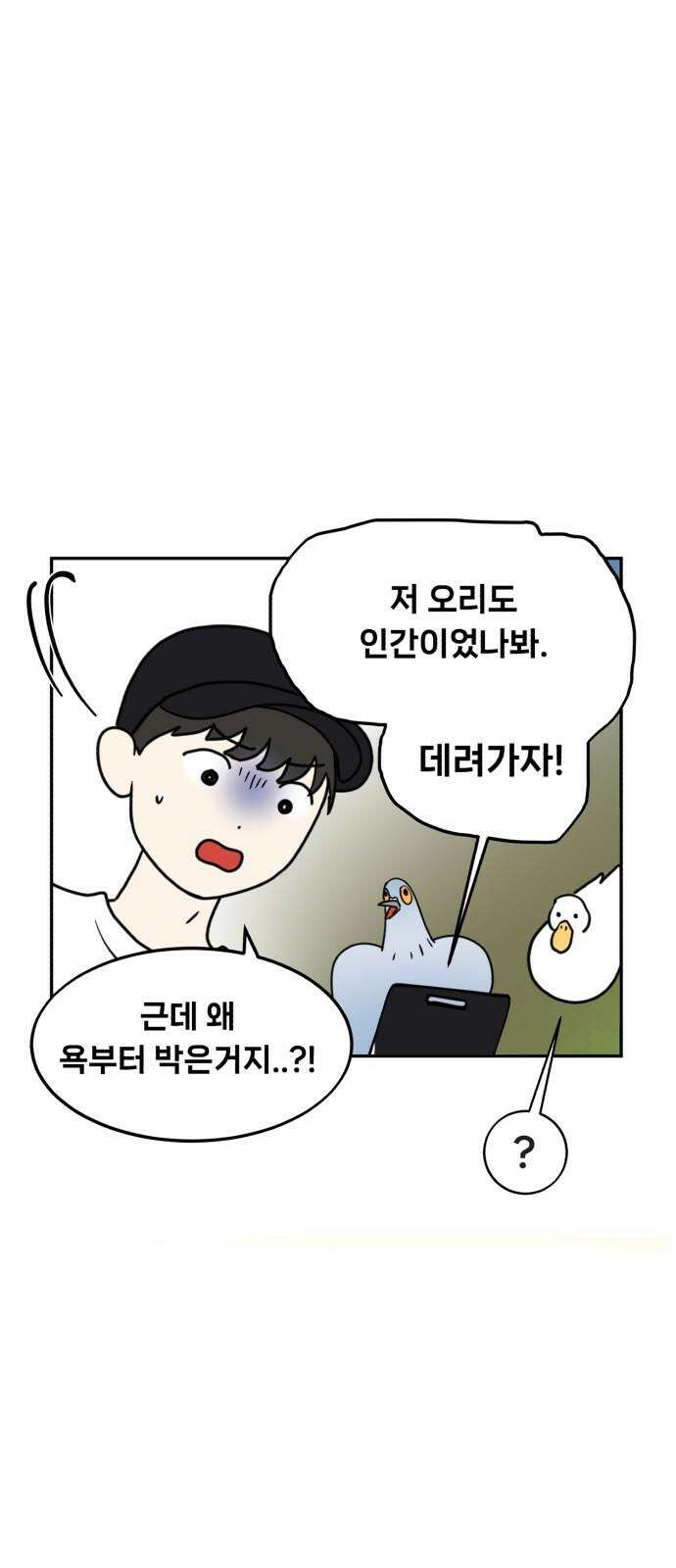 성북구 비둘기 이헌서 33화) 오리씨 오리씨 2