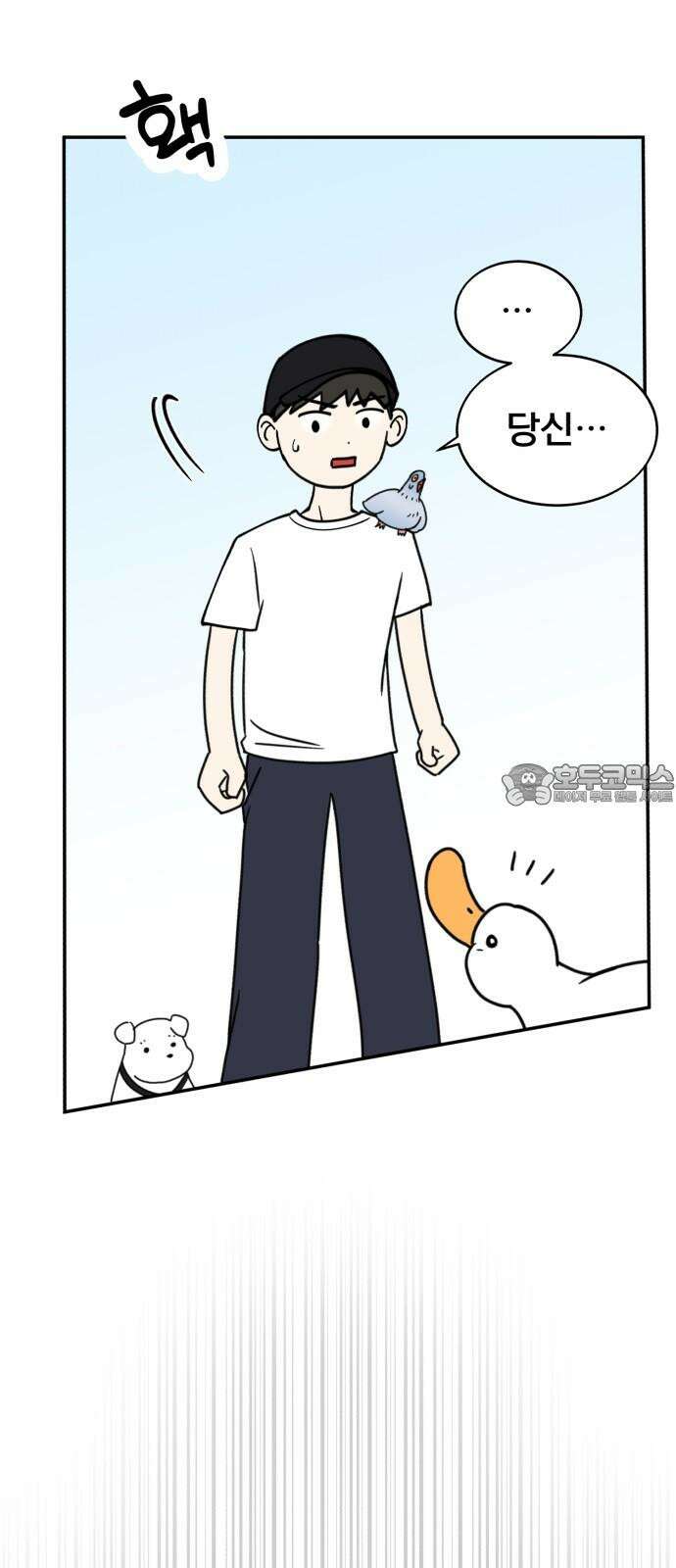 성북구 비둘기 이헌서 33화) 오리씨 오리씨 3