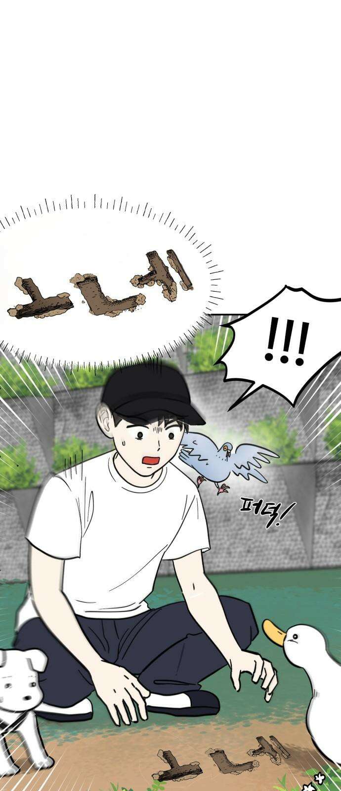 성북구 비둘기 이헌서 33화) 오리씨 오리씨 7