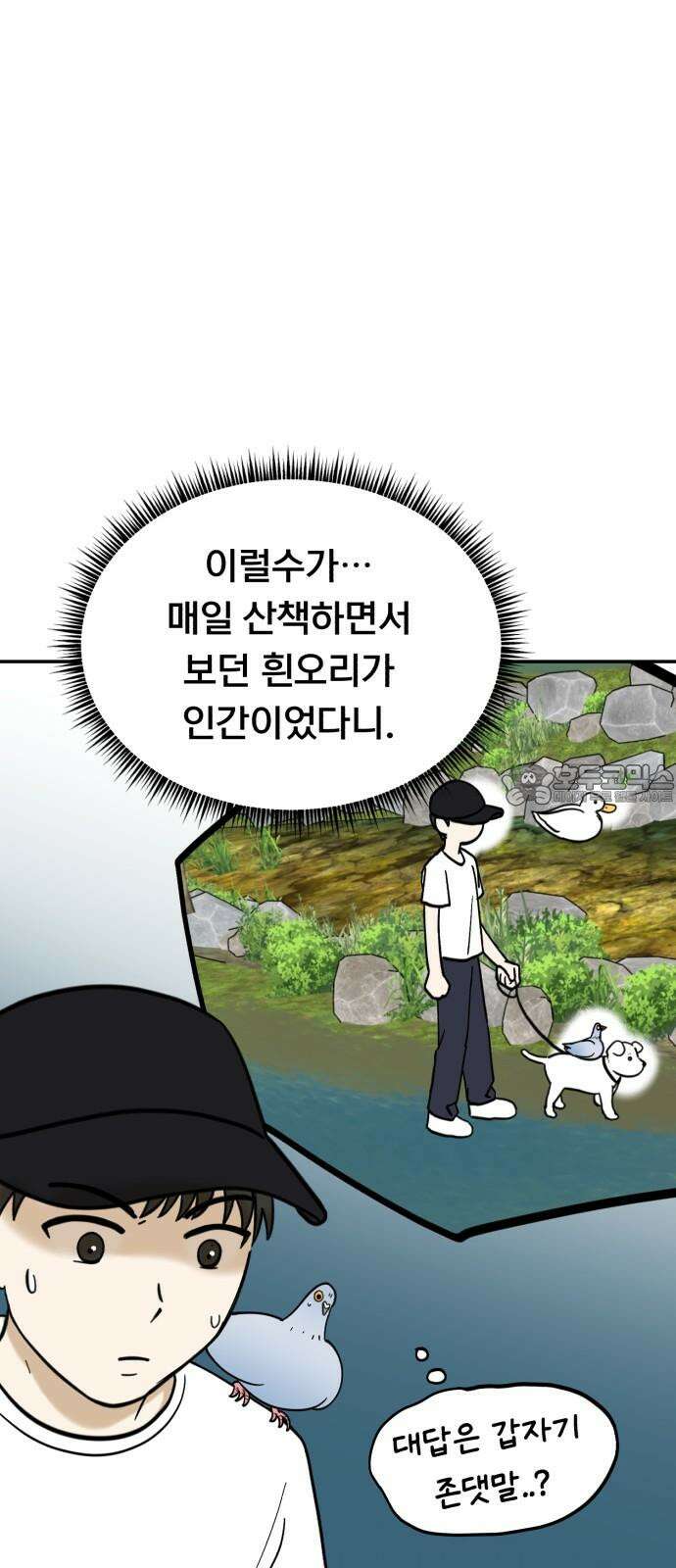 성북구 비둘기 이헌서 33화) 오리씨 오리씨 9