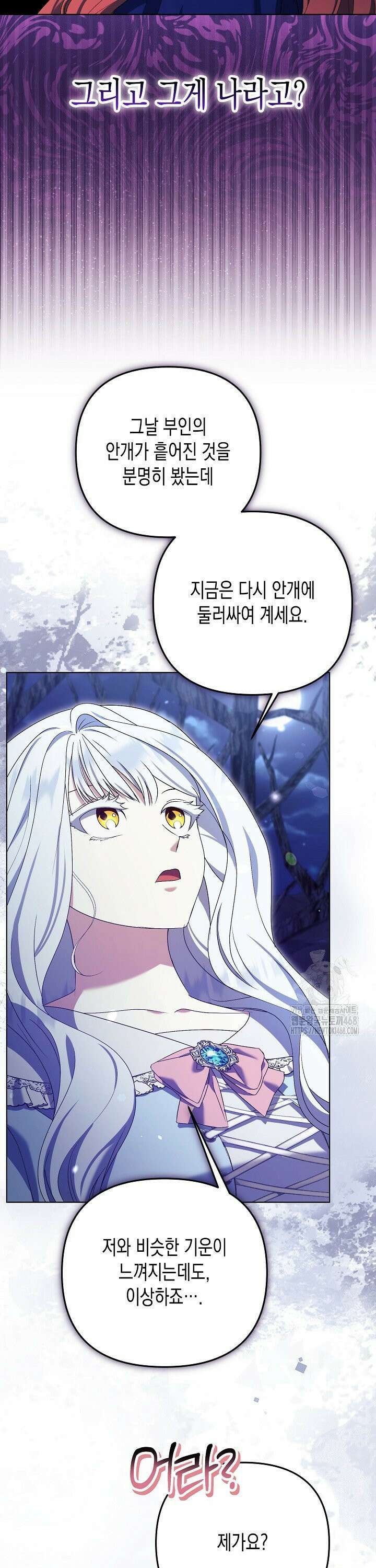 흑막 공작의 못난이 부인 26화 25