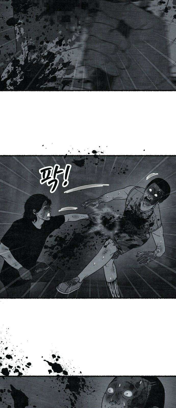 벌집 60화 14