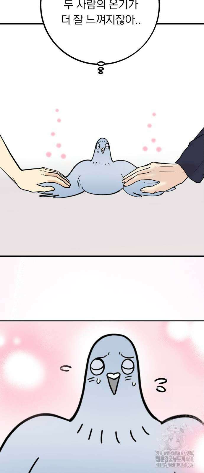 성북구 비둘기 이헌서 39화 6