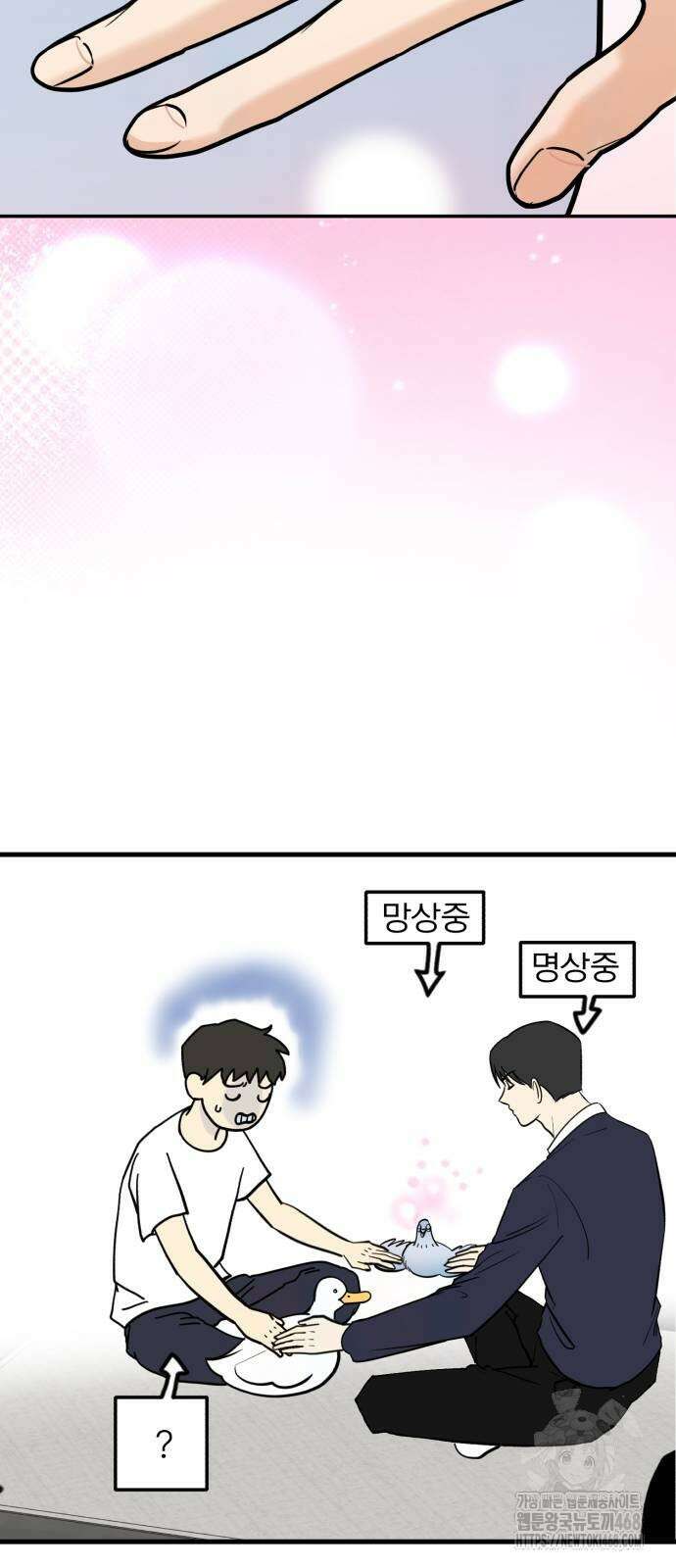 성북구 비둘기 이헌서 39화 8