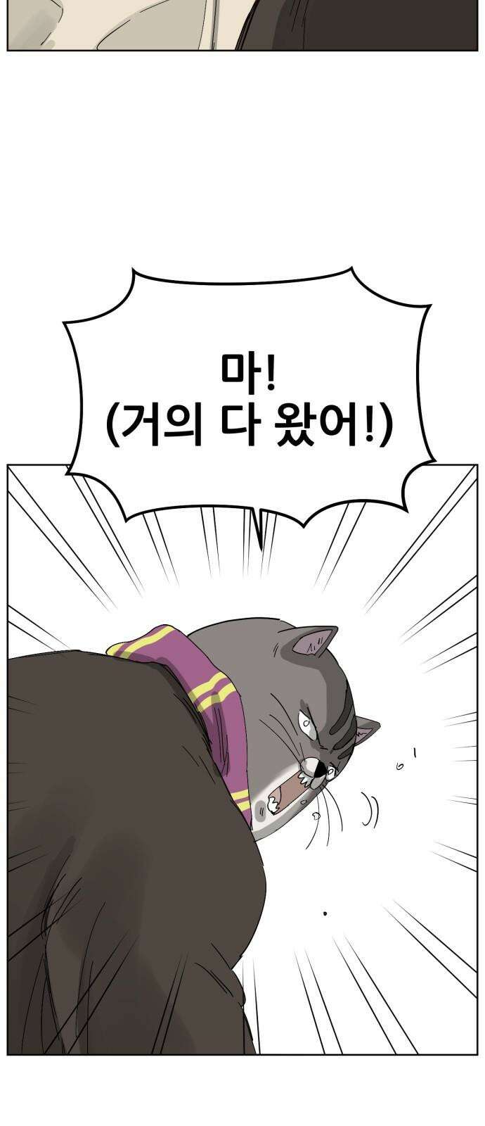괴양이 79화 괴리포터 下 5