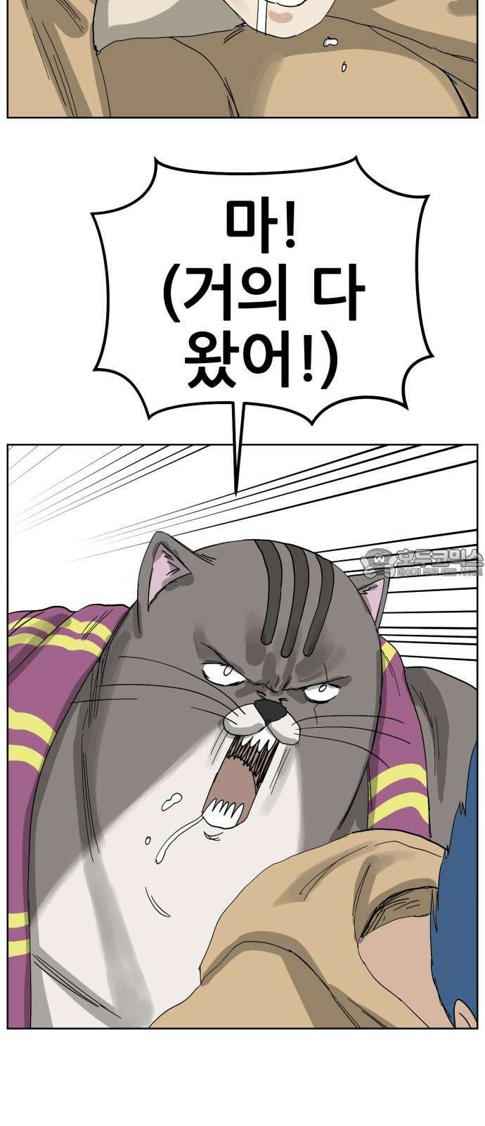 괴양이 79화 괴리포터 下 9