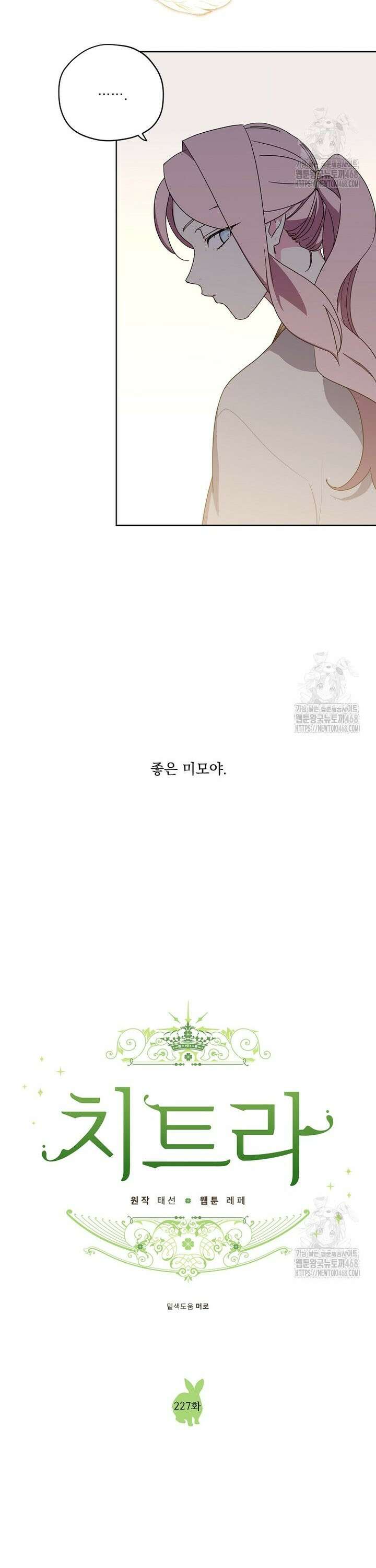 치트라 227화 4