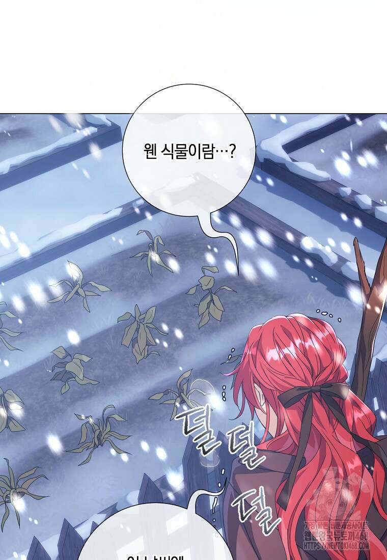 결혼도 안 했는데 무슨 이혼인가요, 폐하 43화 7