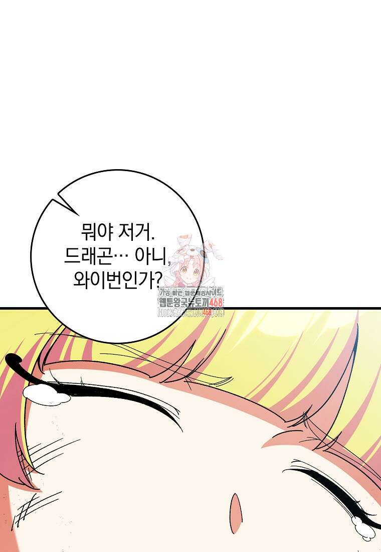 만렙 플레이어 91화 1