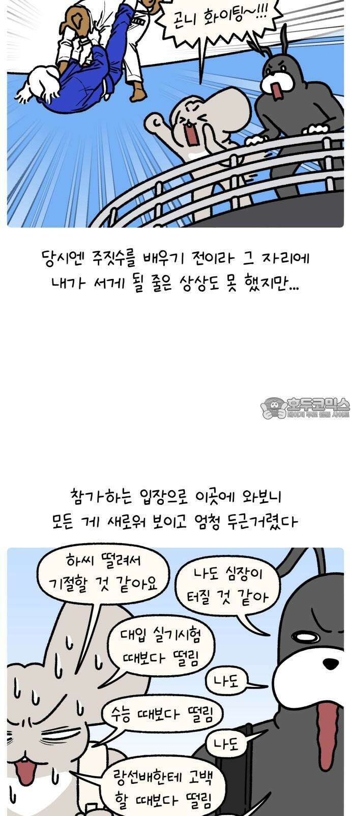 안녕, 나의 수집 194． 주짓수 대회 메달 (3) 3
