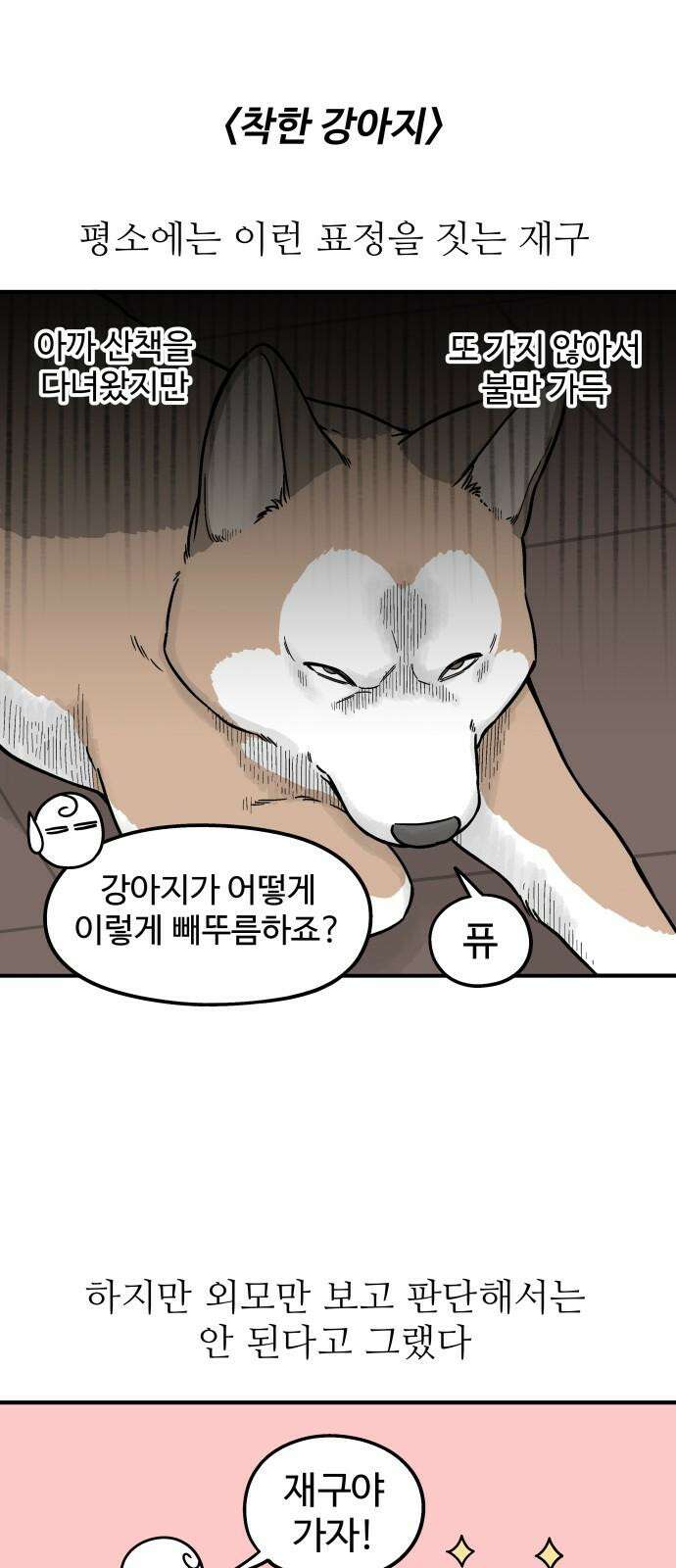 노곤하개 쇼츠 착한 강아지 2