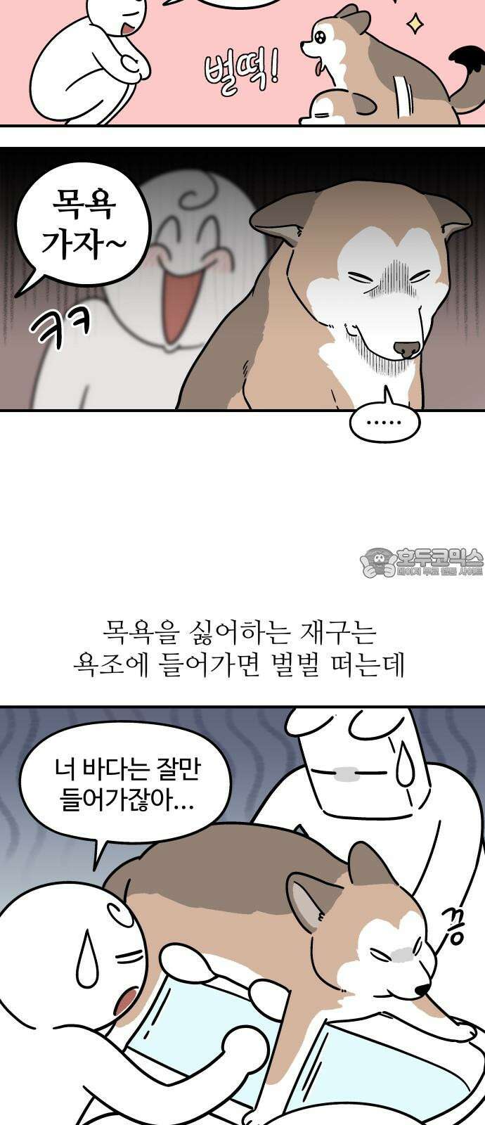 노곤하개 쇼츠 착한 강아지 3