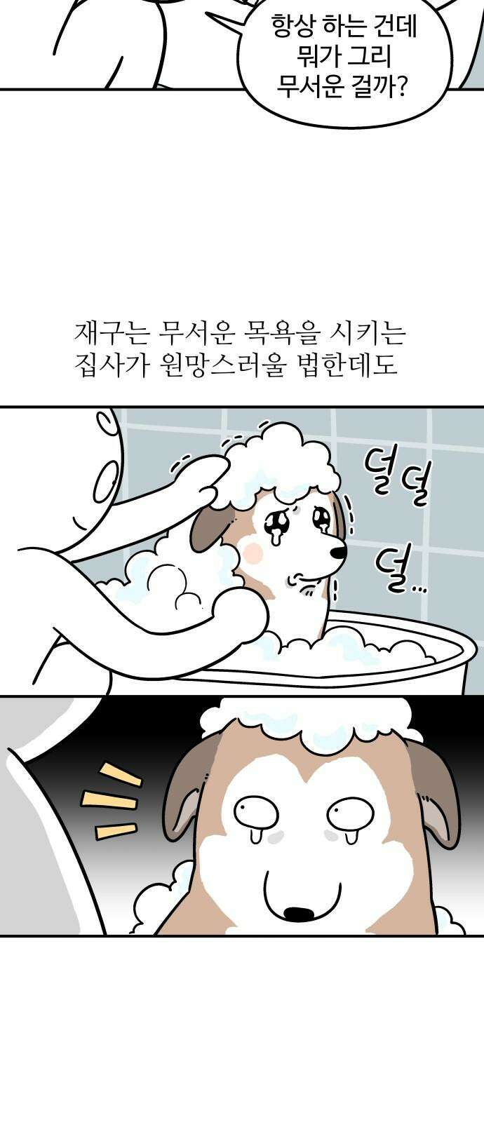 노곤하개 쇼츠 착한 강아지 4