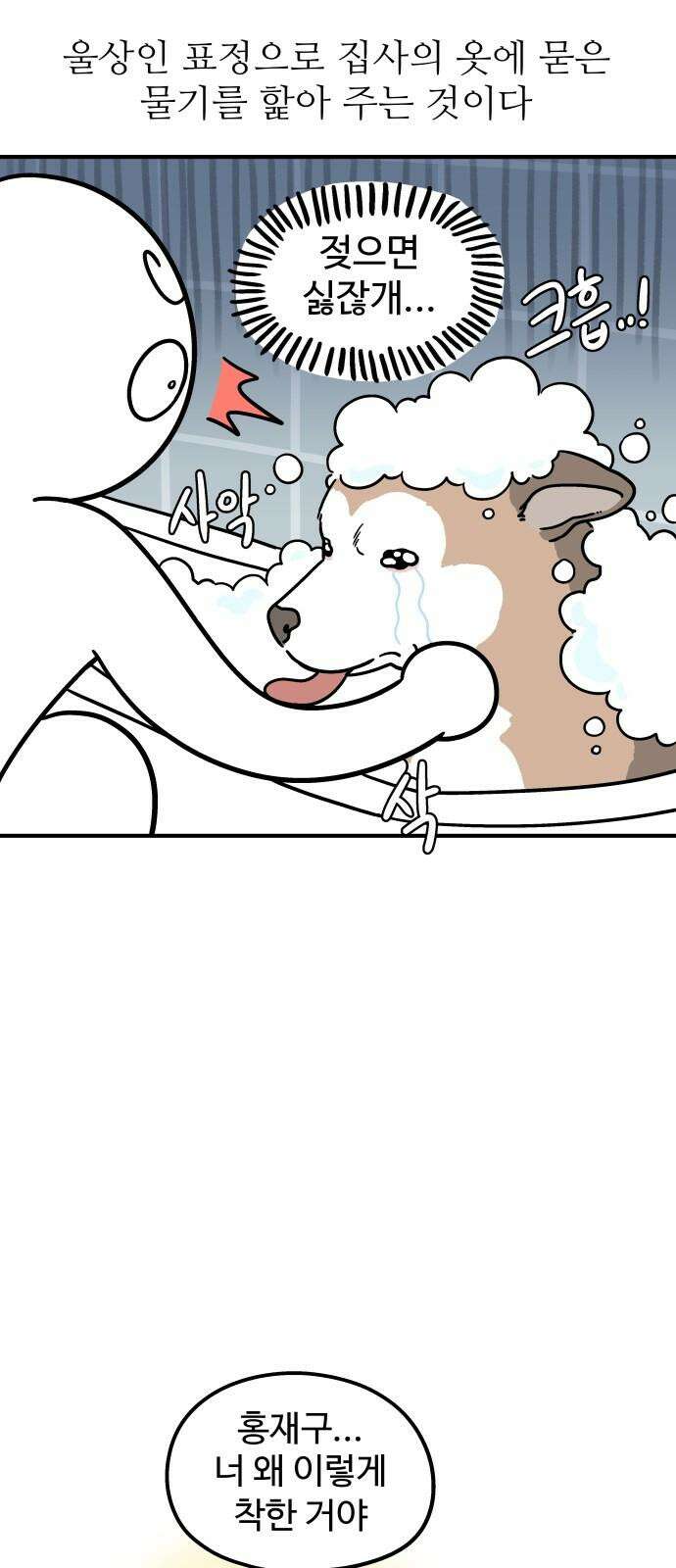 노곤하개 쇼츠 착한 강아지 5