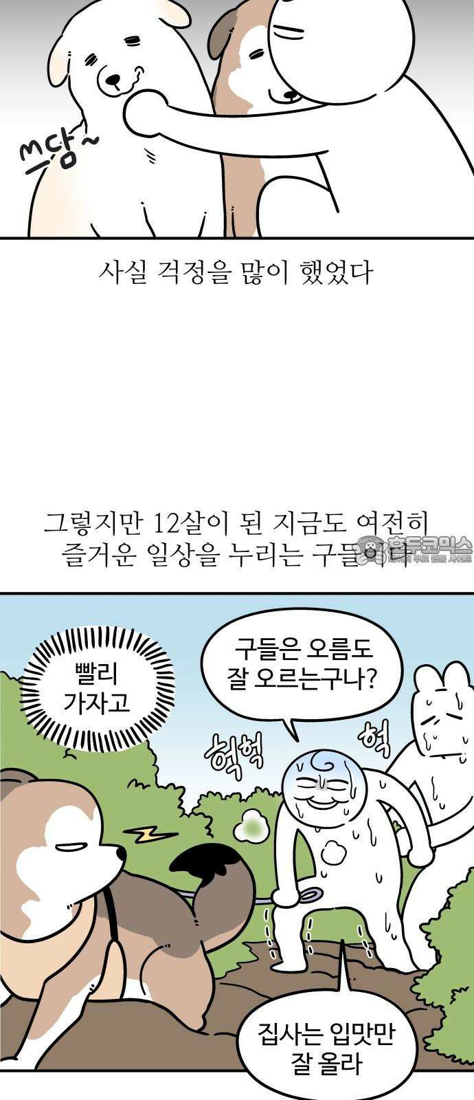 노곤하개 쇼츠 착한 강아지 9
