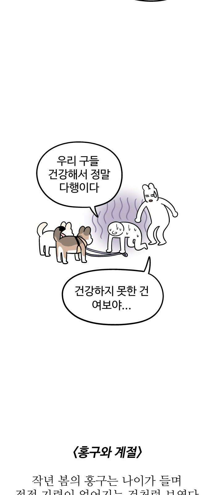 노곤하개 쇼츠 착한 강아지 10