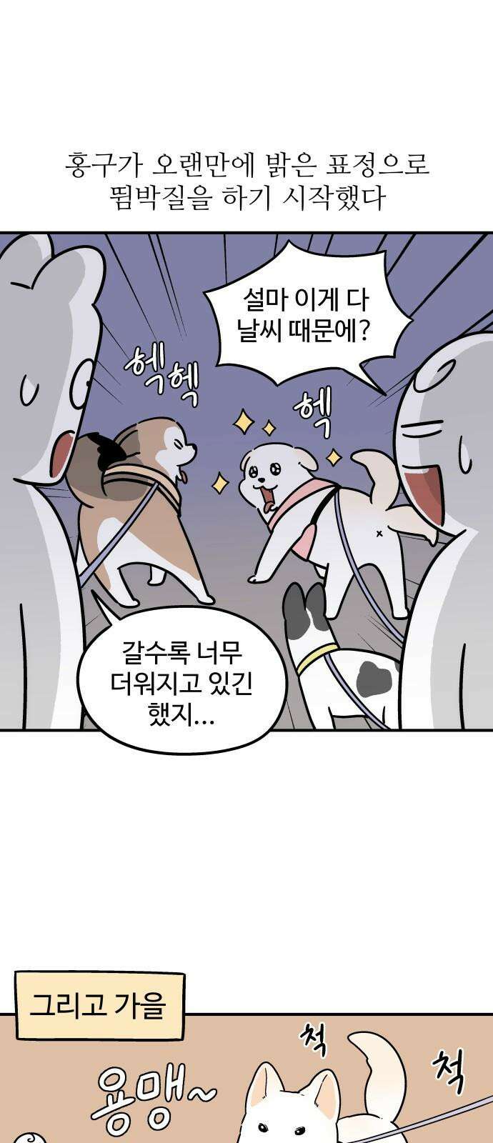 노곤하개 쇼츠 착한 강아지 13