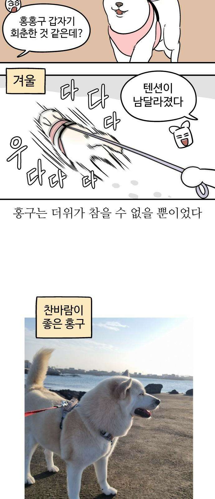노곤하개 쇼츠 착한 강아지 14