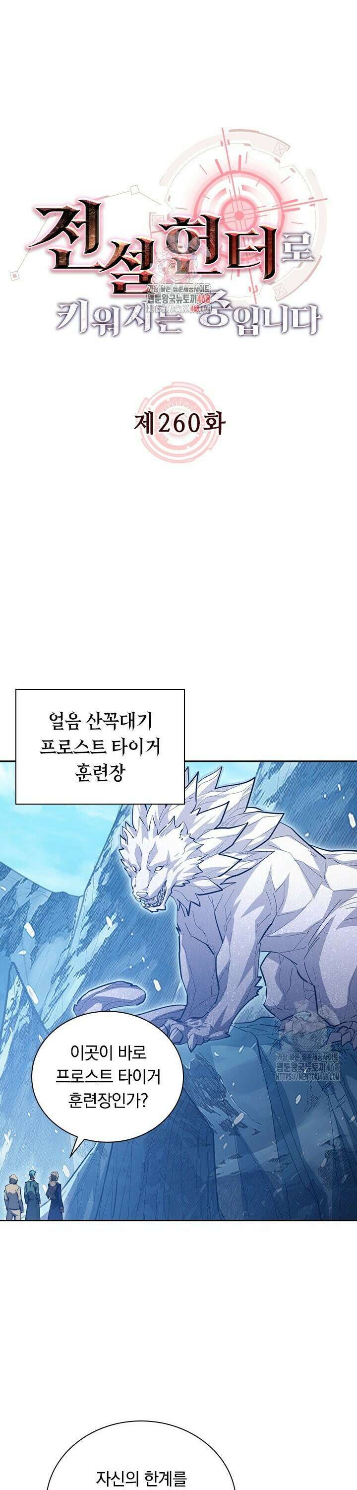 전설 헌터로 키워지는 중입니다 260화 1