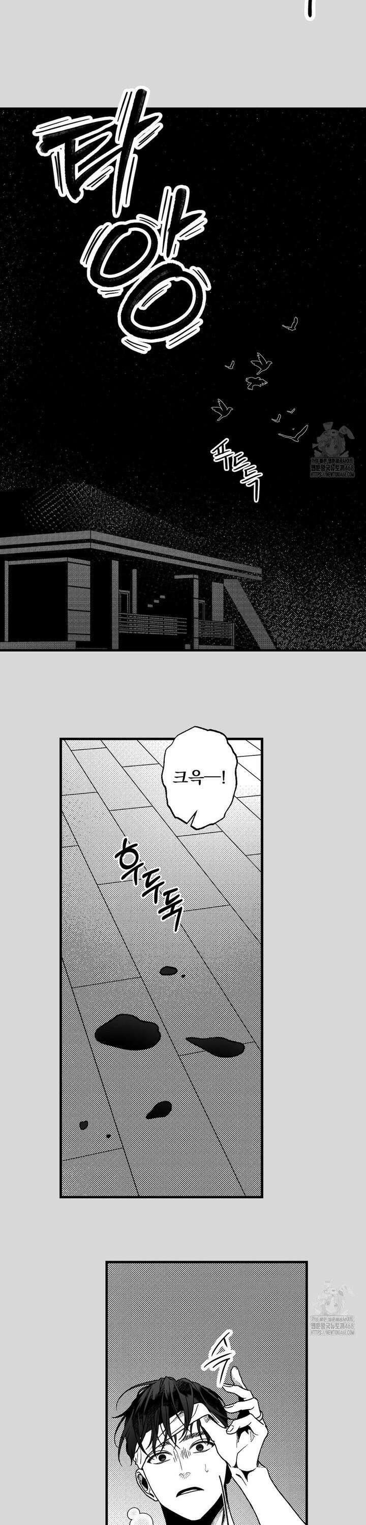 에버그레이 16화 17