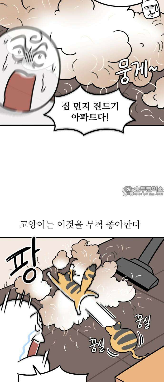 노곤하개 쇼츠 대청소 3