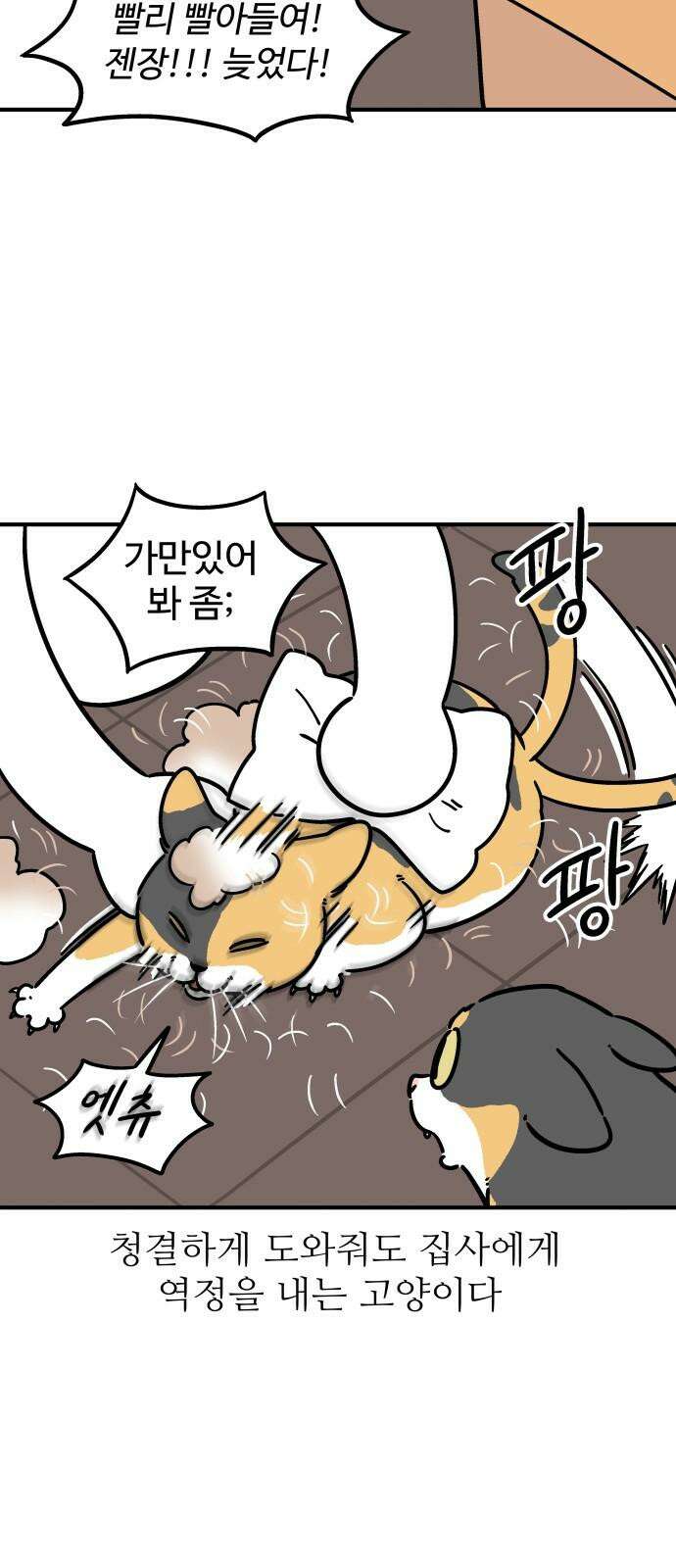 노곤하개 쇼츠 대청소 4
