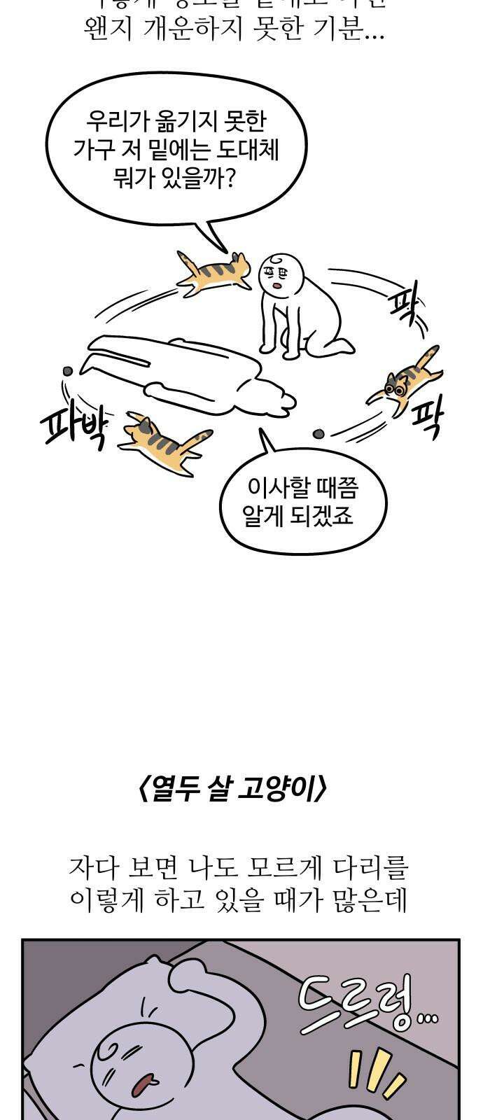 노곤하개 쇼츠 대청소 8