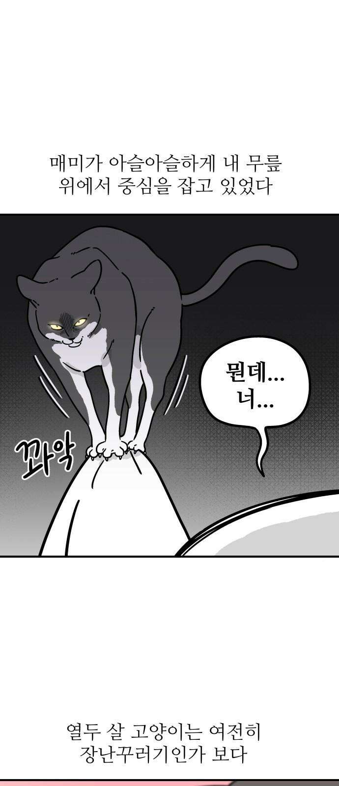 노곤하개 쇼츠 대청소 10