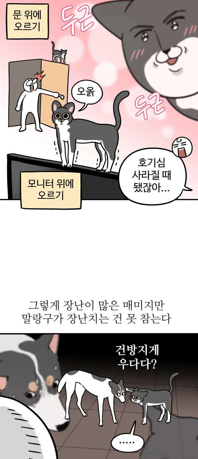 노곤하개 쇼츠 대청소 11