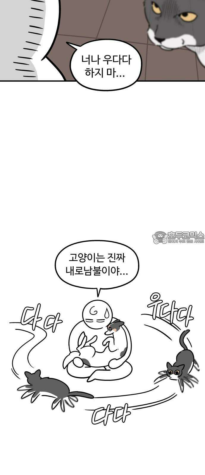 노곤하개 쇼츠 대청소 12