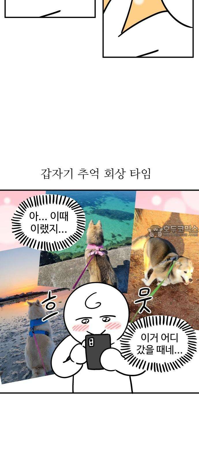 노곤하개 쇼츠 대청소 15