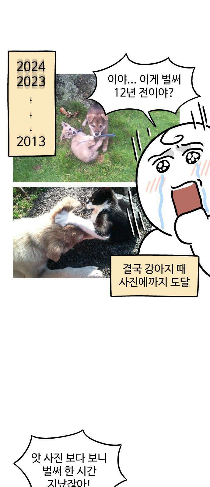 노곤하개 쇼츠 대청소 16