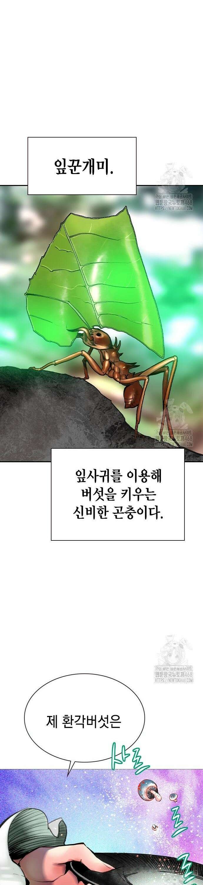 정글쥬스 시즌3 10화 11