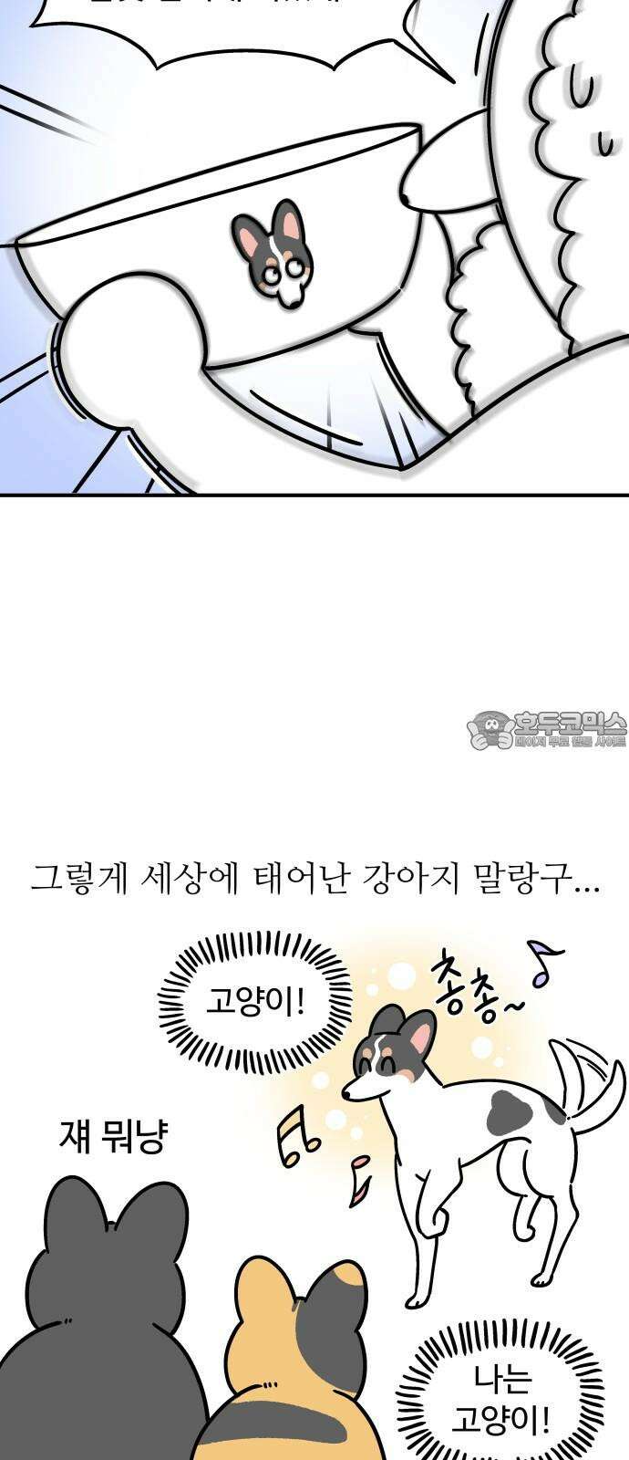 노곤하개 쇼츠 고양이가 되고 싶은 개 3