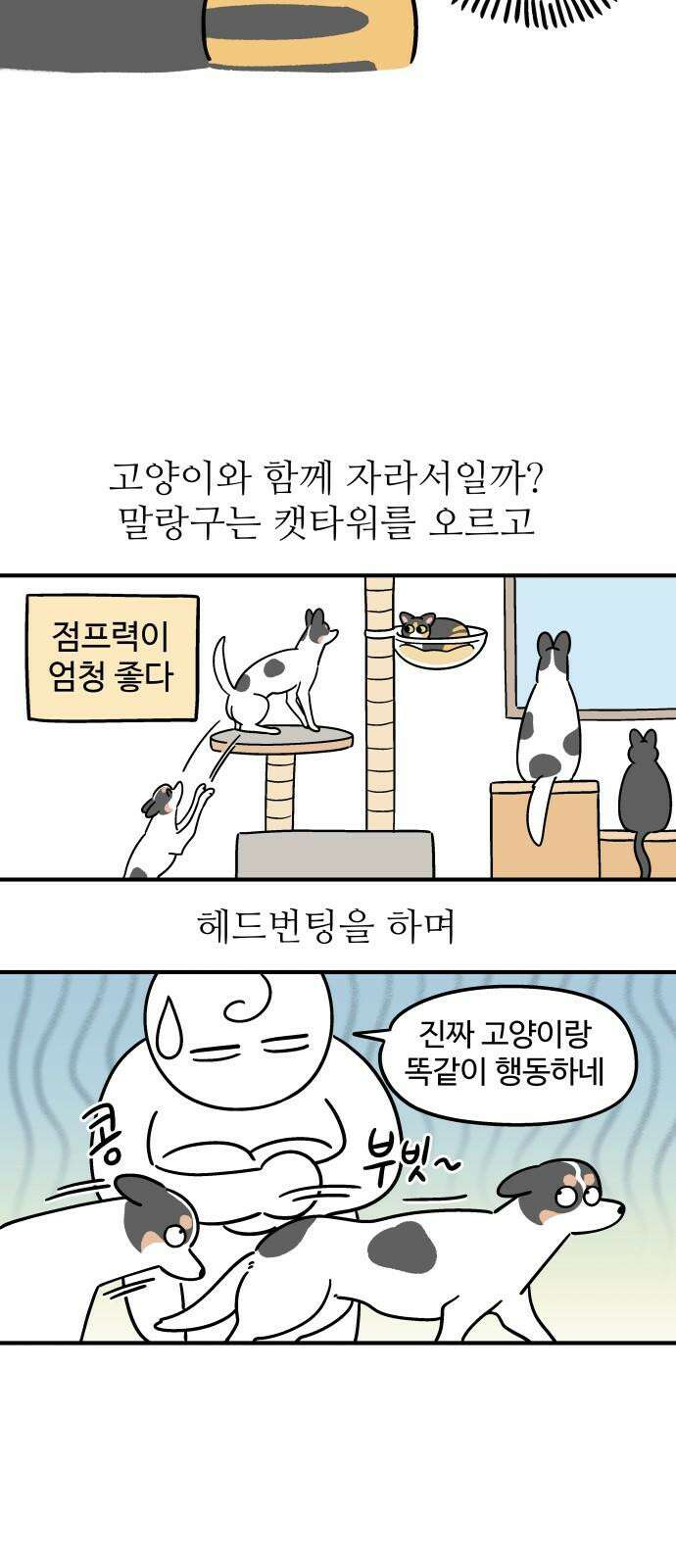노곤하개 쇼츠 고양이가 되고 싶은 개 4