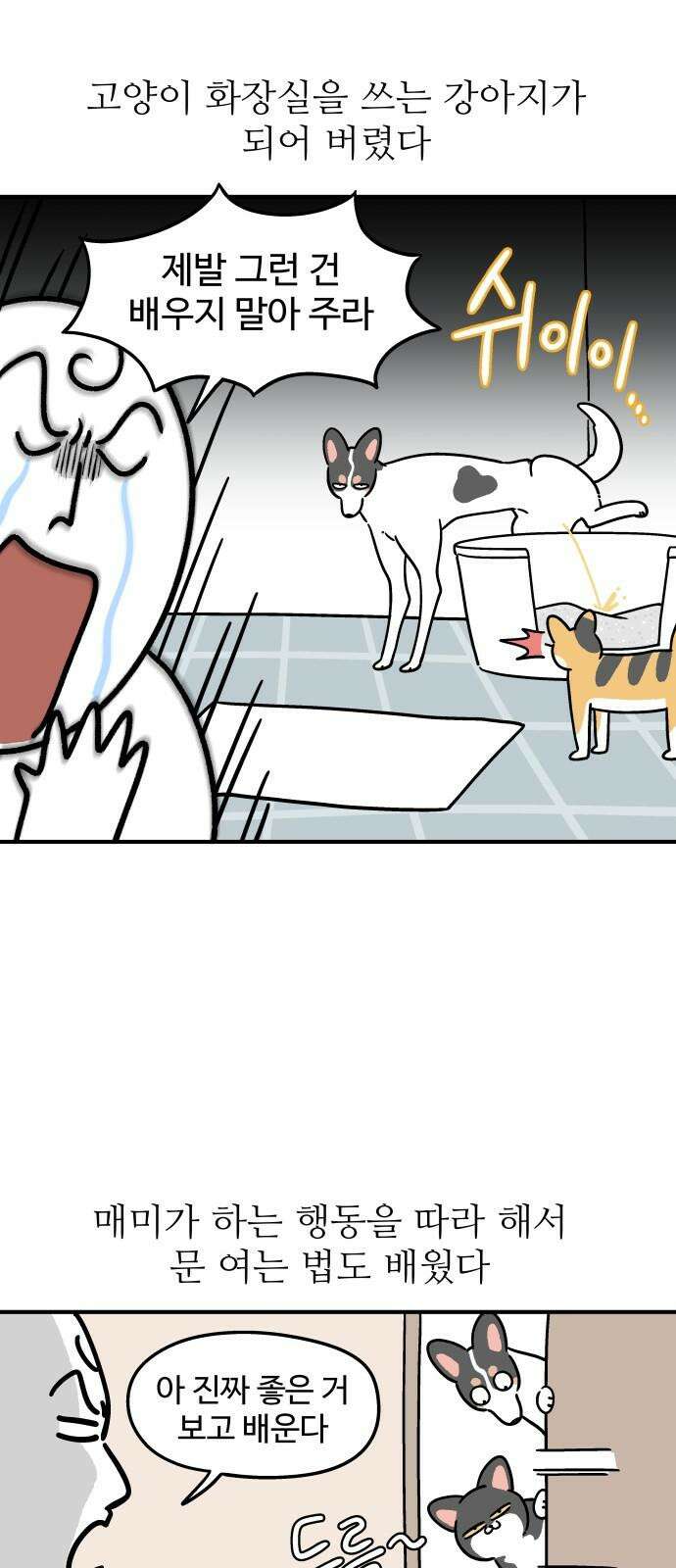 노곤하개 쇼츠 고양이가 되고 싶은 개 5