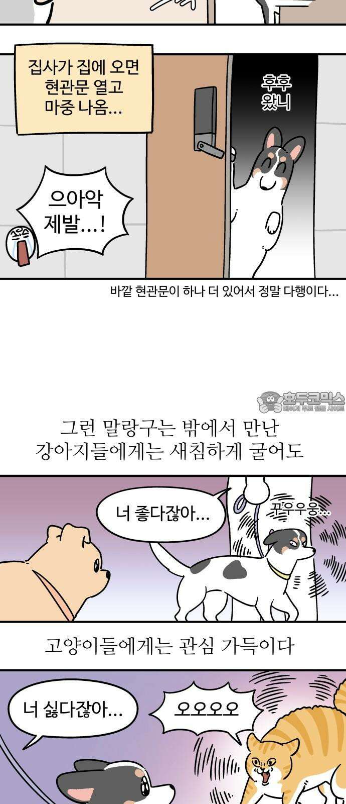 노곤하개 쇼츠 고양이가 되고 싶은 개 6