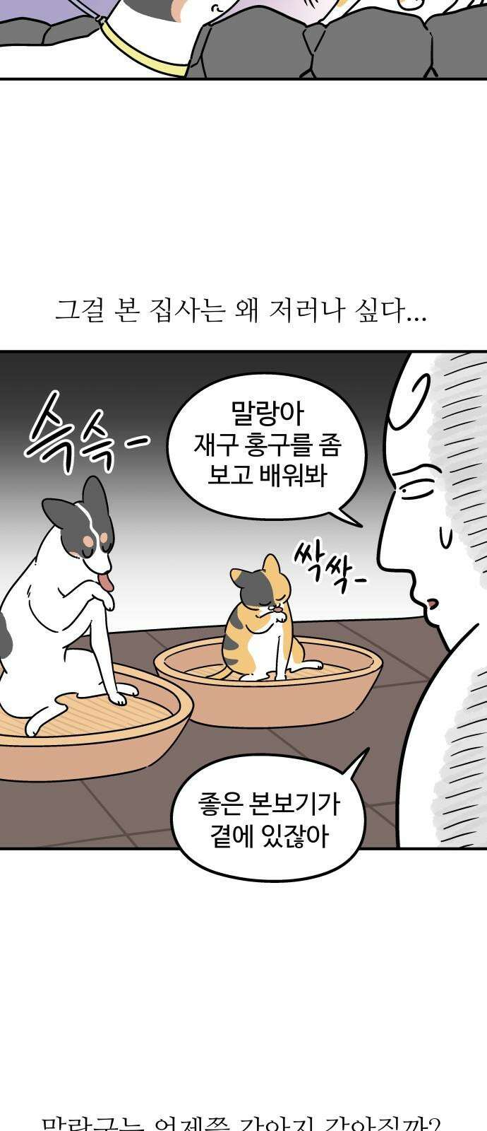 노곤하개 쇼츠 고양이가 되고 싶은 개 7