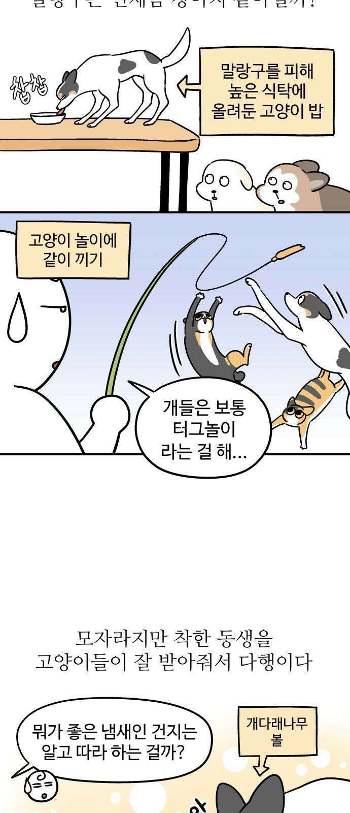 노곤하개 쇼츠 고양이가 되고 싶은 개 8