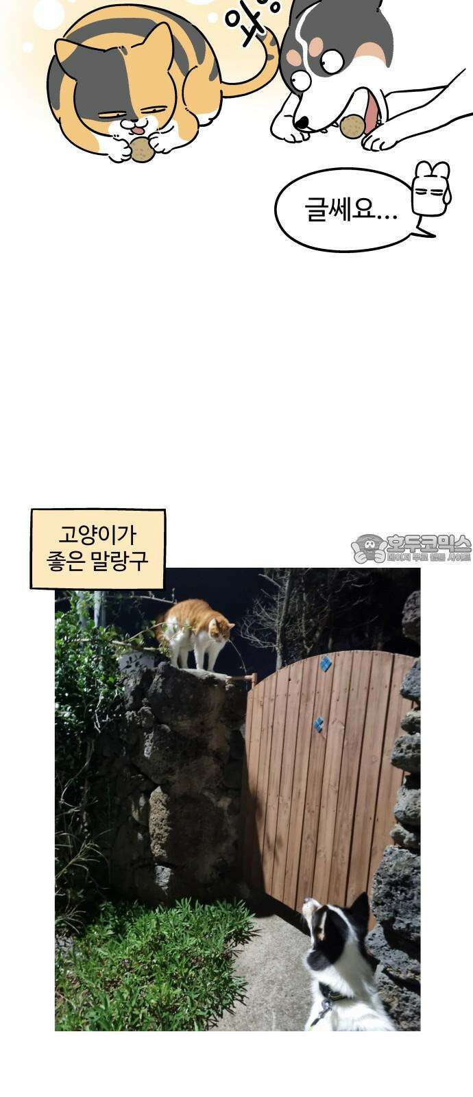 노곤하개 쇼츠 고양이가 되고 싶은 개 9