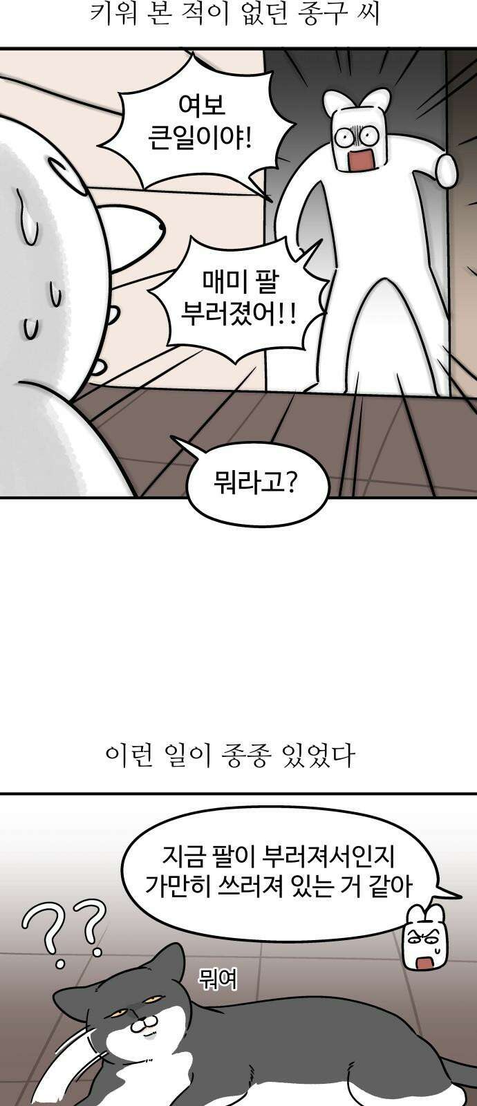 노곤하개 쇼츠 고양이가 되고 싶은 개 11