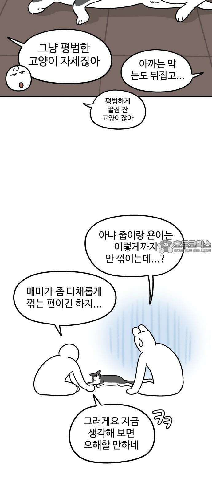 노곤하개 쇼츠 고양이가 되고 싶은 개 12