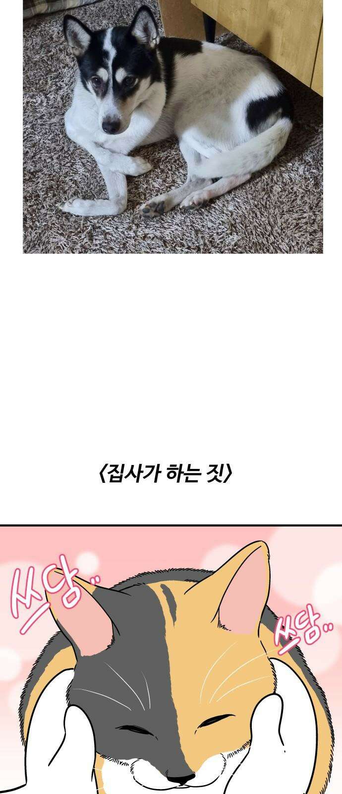 노곤하개 쇼츠 고양이가 되고 싶은 개 14