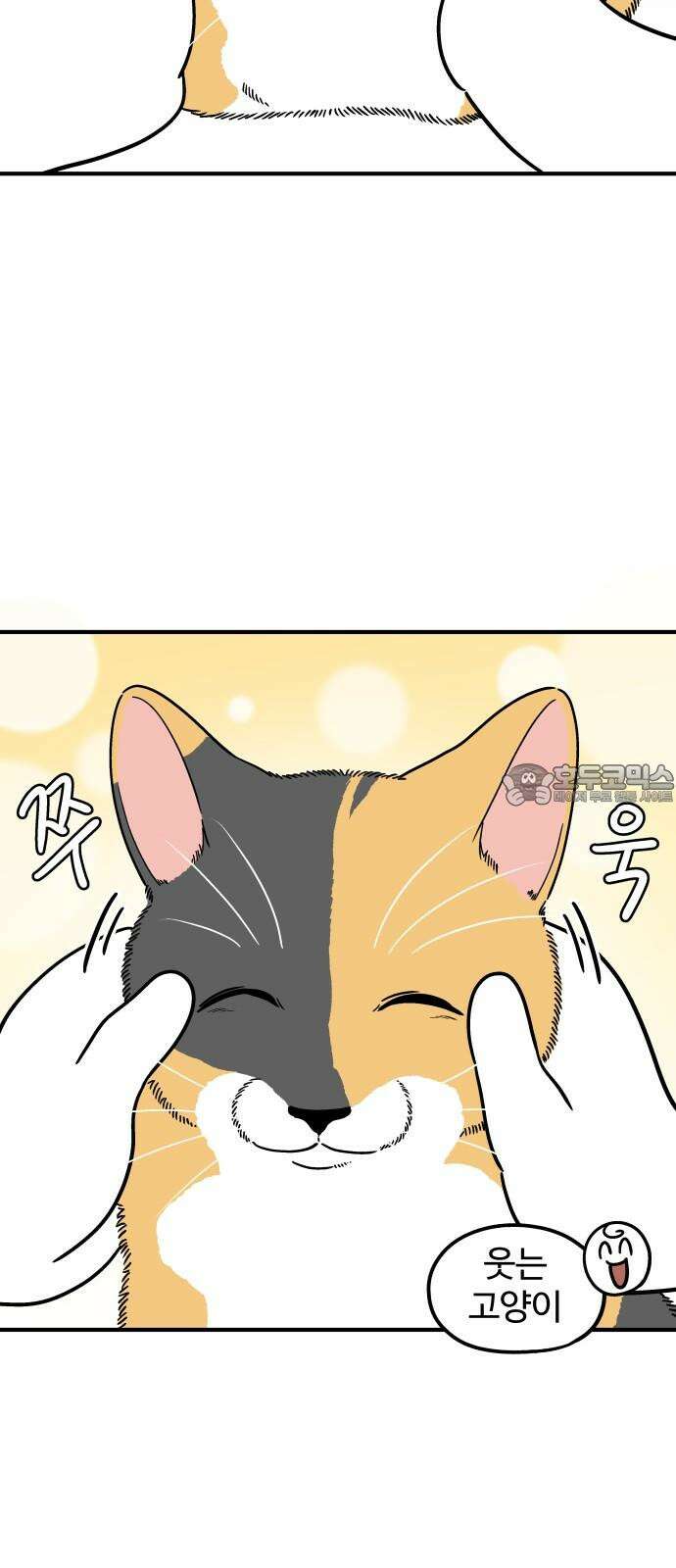 노곤하개 쇼츠 고양이가 되고 싶은 개 15