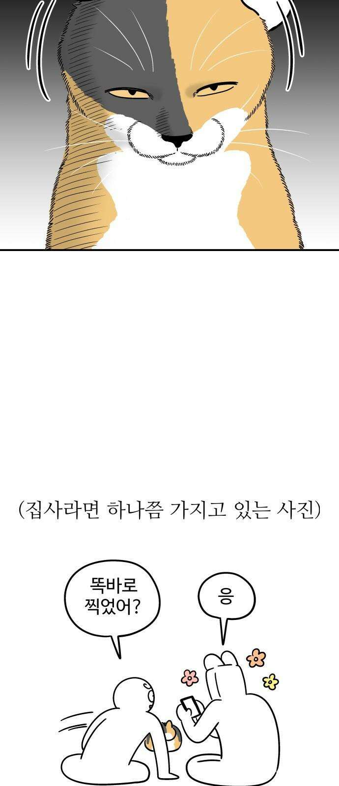 노곤하개 쇼츠 고양이가 되고 싶은 개 17