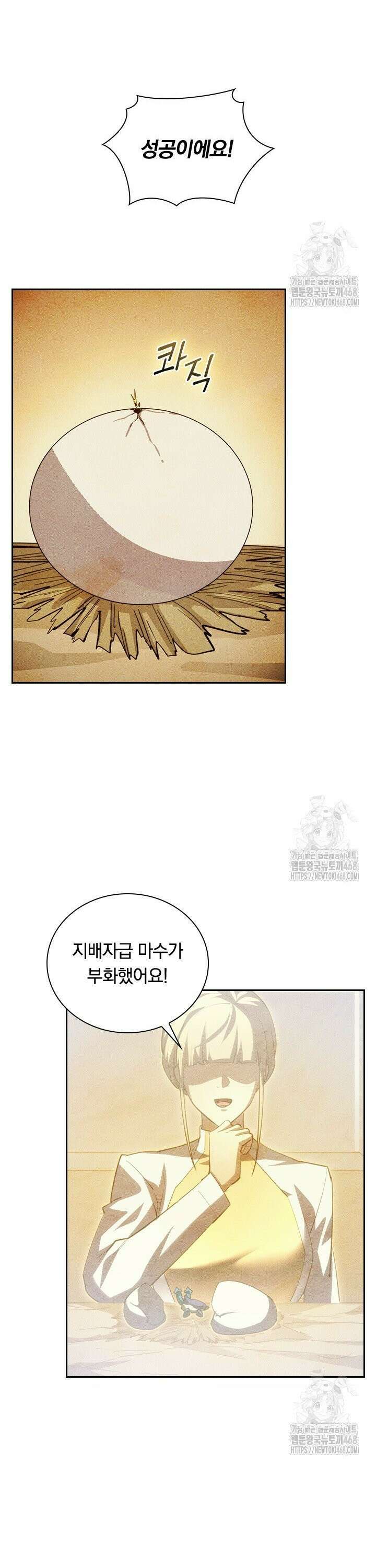 전설 헌터로 키워지는 중입니다 273화 18