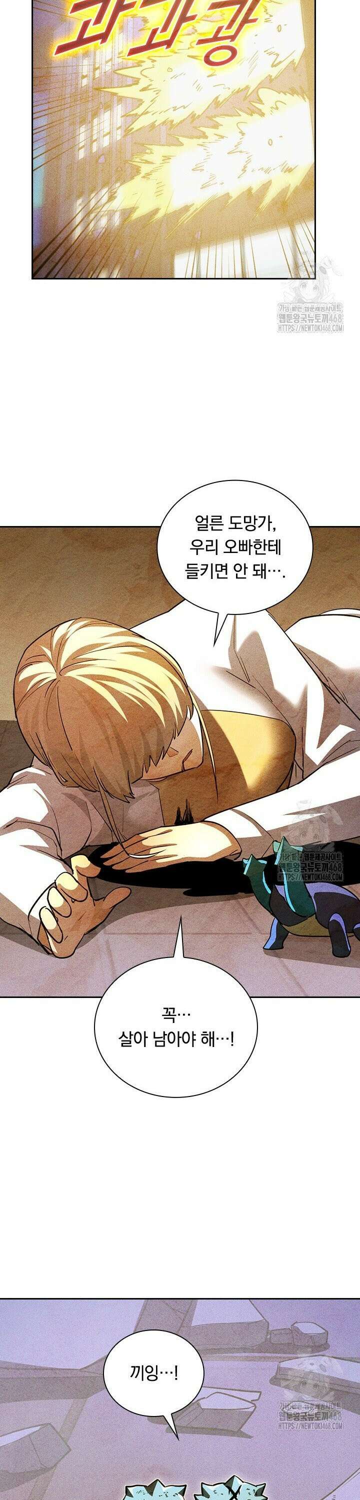 전설 헌터로 키워지는 중입니다 273화 22