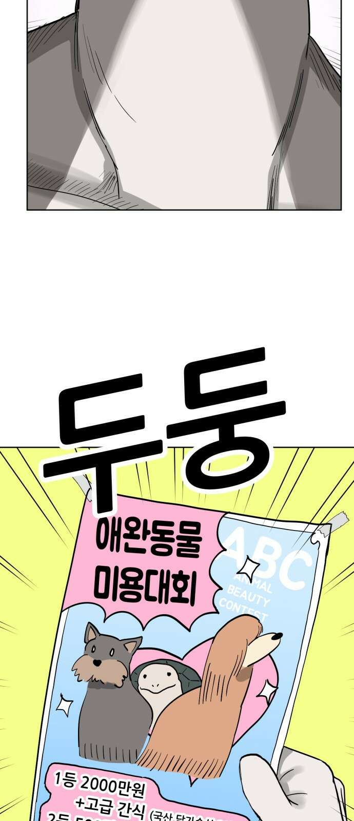 괴양이 86화 - 카이사르의 대모험2 : 뷰티대회 3