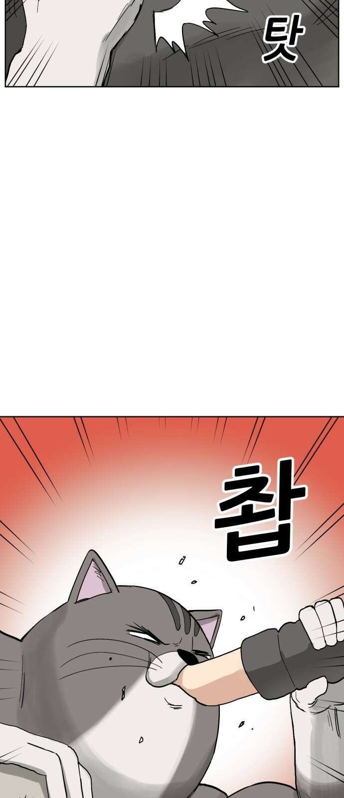 괴양이 86화 - 카이사르의 대모험2 : 뷰티대회 13
